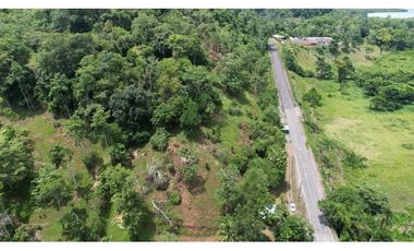 Se Venden 20 Hectáreas de Terreno en Río Oeste, Almirante