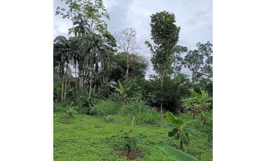 Se Venden 20 Hectáreas de Terreno en Río Oeste, Almirante