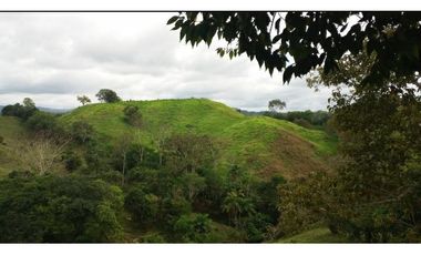 Finca en Caisán, Chiriquí (CP)