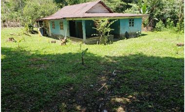 Finca en Caisán, Chiriquí (CP)