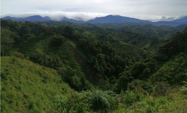 Finca en Caisán, Chiriquí (CP)