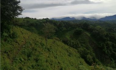 Finca en Caisán, Chiriquí (CP)