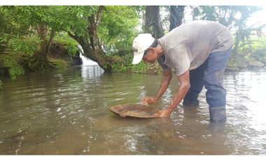 FINCA LECHERA EN SANTIAGO VERAGUAS (CP)
