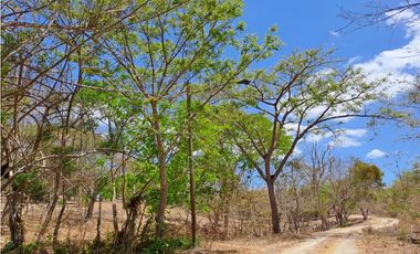 LOTE FRENTE A PLAYA EL SOL , SAN CARLOS (CP)