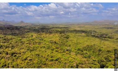 FINCA EN LA NEGRITA-PENOMÉ (CP)