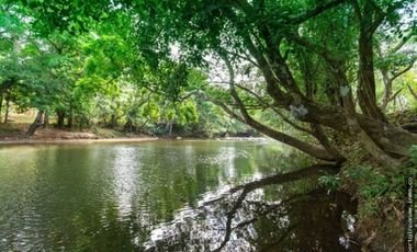 FINCA EN LA NEGRITA-PENOMÉ (CP)