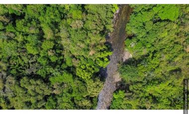 FINCA EN LA NEGRITA-PENOMÉ (CP)