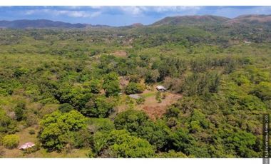 FINCA EN LA NEGRITA-PENOMÉ (CP)