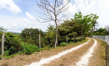 FINCA EN LA NEGRITA-PENOMÉ (CP)