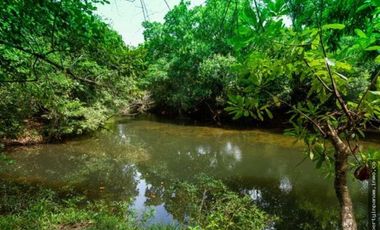 FINCA EN LA NEGRITA-PENOMÉ (CP)