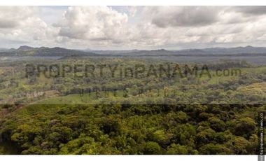 FINCA CON ALTA ELEVACIÓN EN TOCUÉ PENOME (CP)