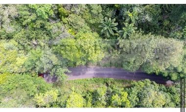 FINCA CON ALTA ELEVACIÓN EN TOCUÉ PENOME (CP)