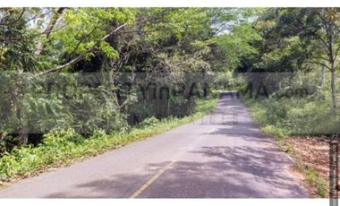 FINCA CON ALTA ELEVACIÓN EN TOCUÉ PENOME (CP)