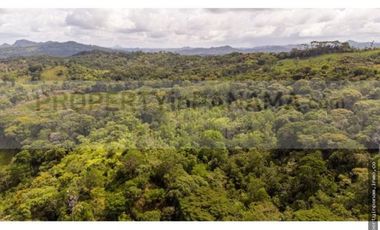 FINCA CON ALTA ELEVACIÓN EN TOCUÉ PENOME (CP)