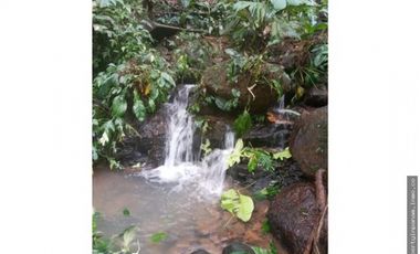 FINCA CON ALTA ELEVACIÓN EN TOCUÉ PENOME (CP)
