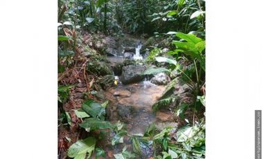 FINCA CON ALTA ELEVACIÓN EN TOCUÉ PENOME (CP)