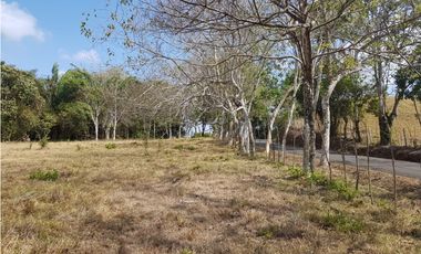 Finca en camino a Las Yayas, La Chorrera. (CP)