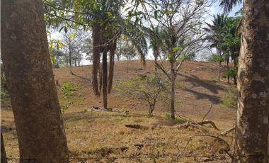 Finca en camino a Las Yayas, La Chorrera. (CP)