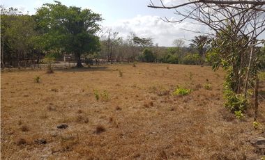Finca en camino a Las Yayas, La Chorrera. (CP)
