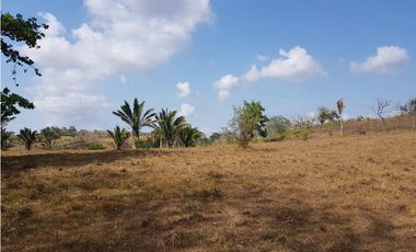 Finca en camino a Las Yayas, La Chorrera. (CP)