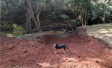 Finca en camino a Las Yayas, La Chorrera. (CP)