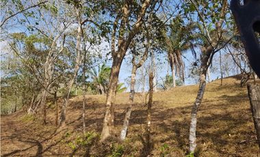 Finca en camino a Las Yayas, La Chorrera. (CP)