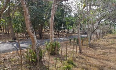 Finca en camino a Las Yayas, La Chorrera. (CP)