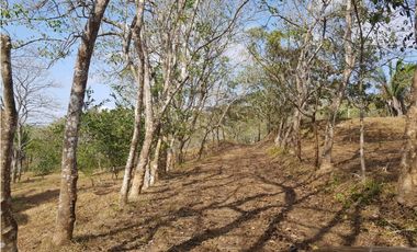 Finca en camino a Las Yayas, La Chorrera. (CP)
