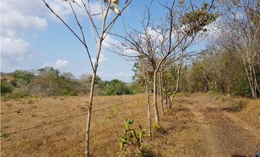 Finca en camino a Las Yayas, La Chorrera. (CP)