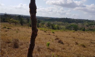 Finca en camino a Las Yayas, La Chorrera. (CP)