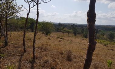 Finca en camino a Las Yayas, La Chorrera. (CP)