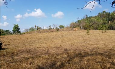 Finca en camino a Las Yayas, La Chorrera. (CP)
