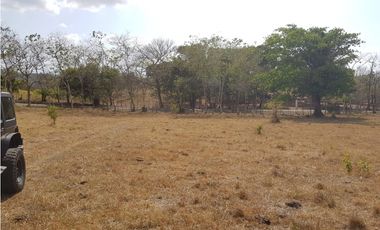 Finca en camino a Las Yayas, La Chorrera. (CP)