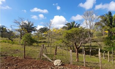 Finca en camino a Las Yayas, La Chorrera. (CP)