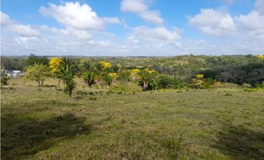 Finca en camino a Las Yayas, La Chorrera. (CP)