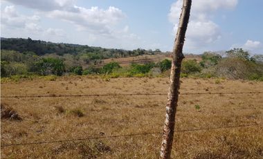Finca en camino a Las Yayas, La Chorrera. (CP)