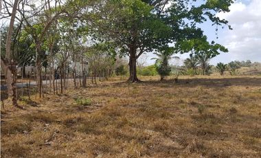 Finca en camino a Las Yayas, La Chorrera. (CP)