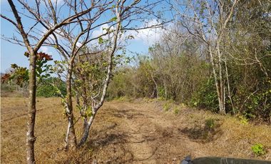 Finca en camino a Las Yayas, La Chorrera. (CP)