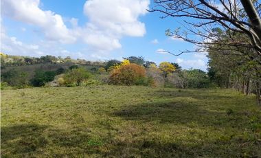 Finca en camino a Las Yayas, La Chorrera. (CP)