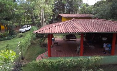 Finca en camino a Las Yayas, La Chorrera. (CP)