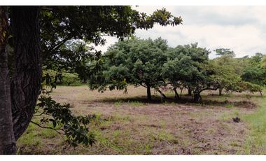 Terreno en Punta Barco (CP)