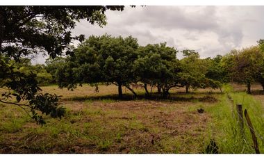 Terreno en Punta Barco (CP)