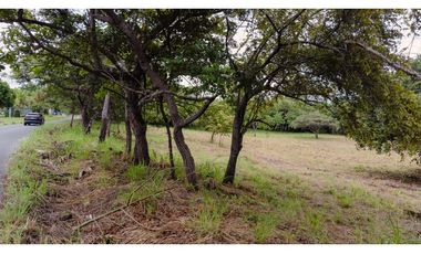 Terreno en Punta Barco (CP)