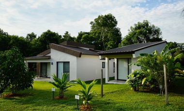 PROYECTO ECOLÓGICO TERRA VIVA, CORONADO - MODELO VALERIANA (CP)