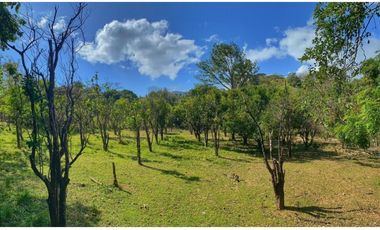FINCA EN VENTA EN LA LAGUNA DE SAN CARLOS 13423 (CP)