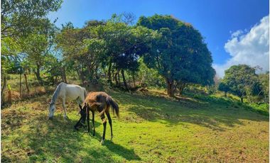 FINCA EN VENTA EN LA LAGUNA DE SAN CARLOS 13423 (CP)