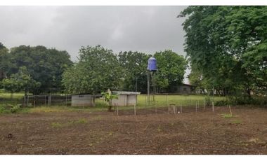 FINCA CON REA COMERCIAL EN LOS UVEROS PENONOMÉ (CP)