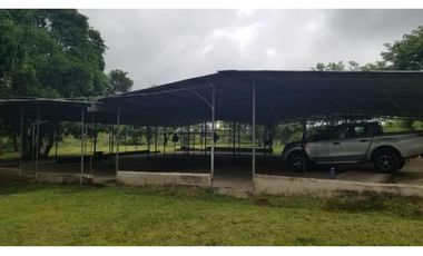 FINCA CON REA COMERCIAL EN LOS UVEROS PENONOMÉ (CP)