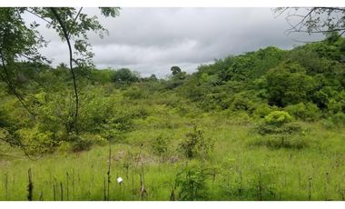 FINCA CON REA COMERCIAL EN LOS UVEROS PENONOMÉ (CP)