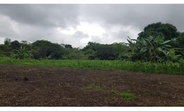 FINCA CON REA COMERCIAL EN LOS UVEROS PENONOMÉ (CP)